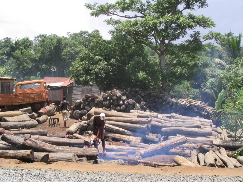 Tala masiva de árboles en Madagascar